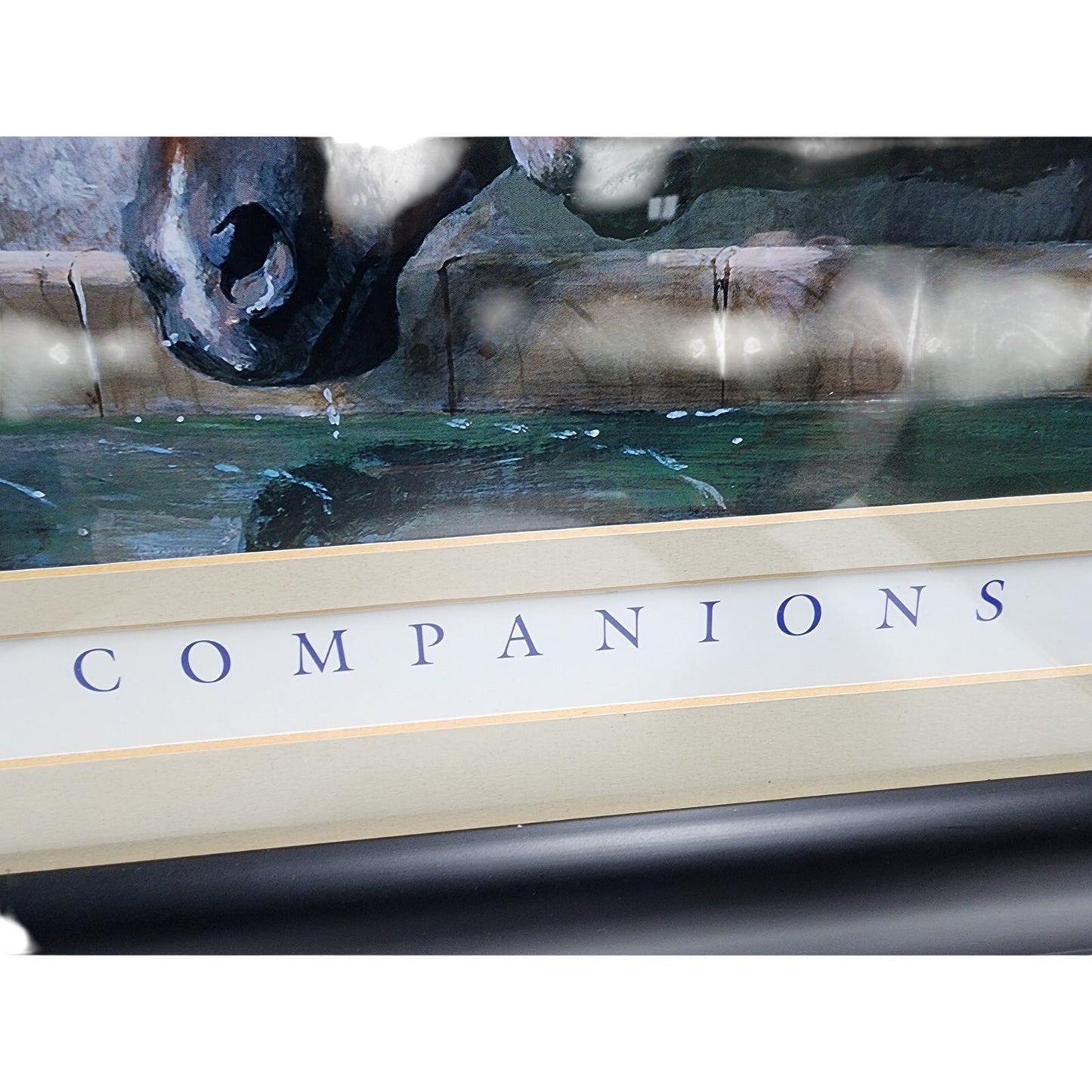 Companions Horse Print by Cortez 1998 Framed Art 42" Wide Black Beveled Frame