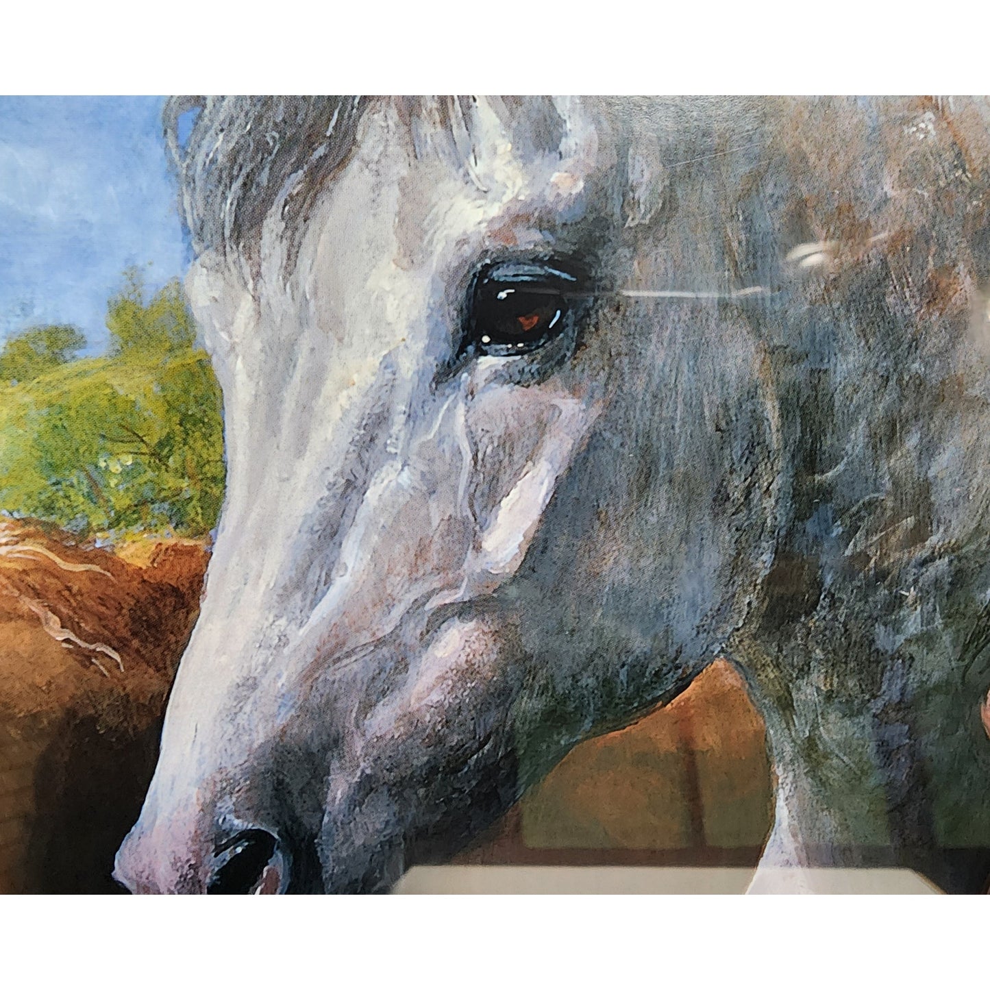 Companions Horse Print by Cortez 1998 Framed Art 42" Wide Black Beveled Frame