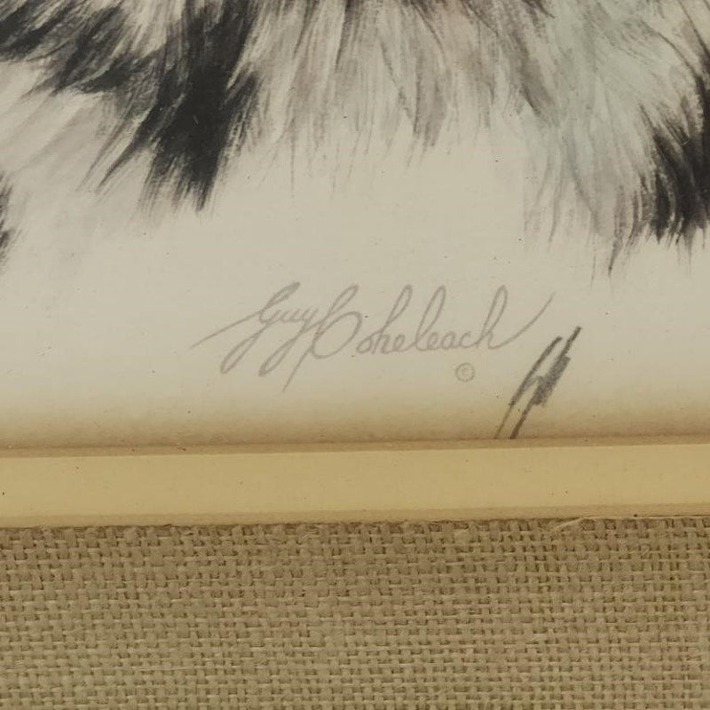 Guy Coheleach Bobcat Lithograph Signed in Green Wood Frame Textured Cloth Matte – Vintage