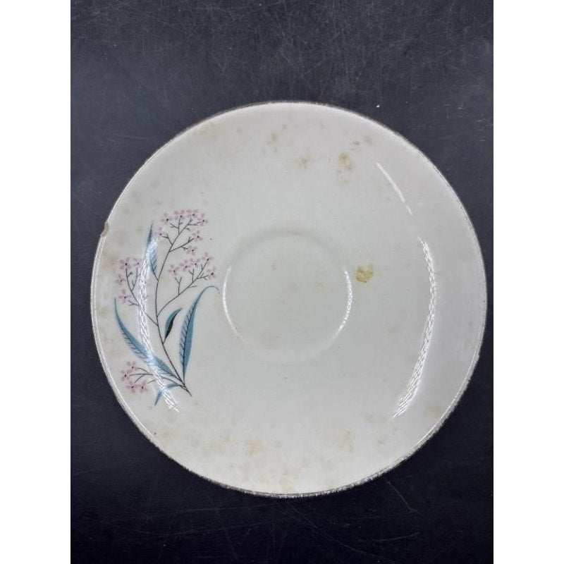 Alliance China Co. Regal Hand Decorated China Set – 14pc - Platinum Rim  (Chip on Saucer)