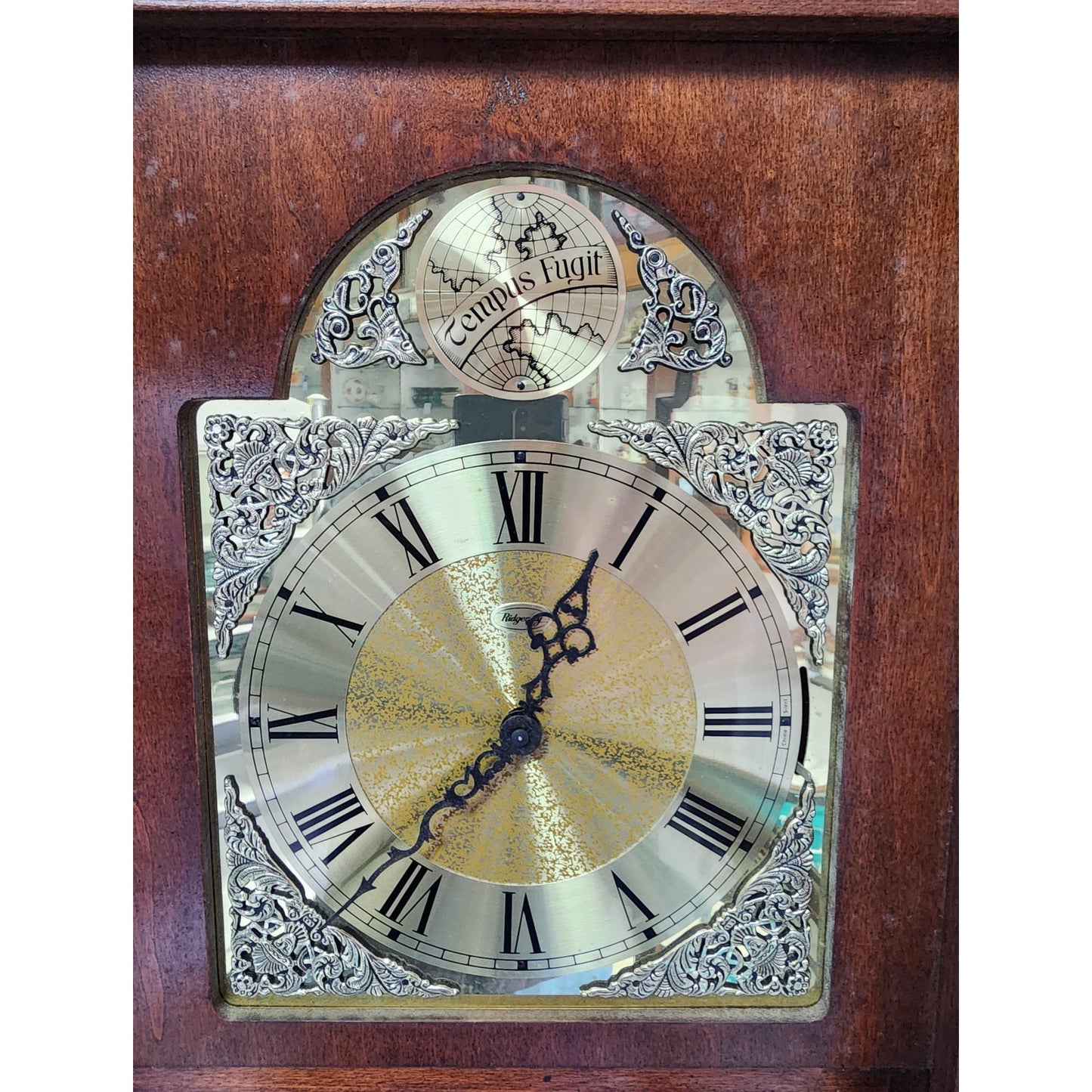 VTG Tempus Fugit Grandfather Clock Walnut Wood 79" Works w/ Chimes -Local Pickup Only!
