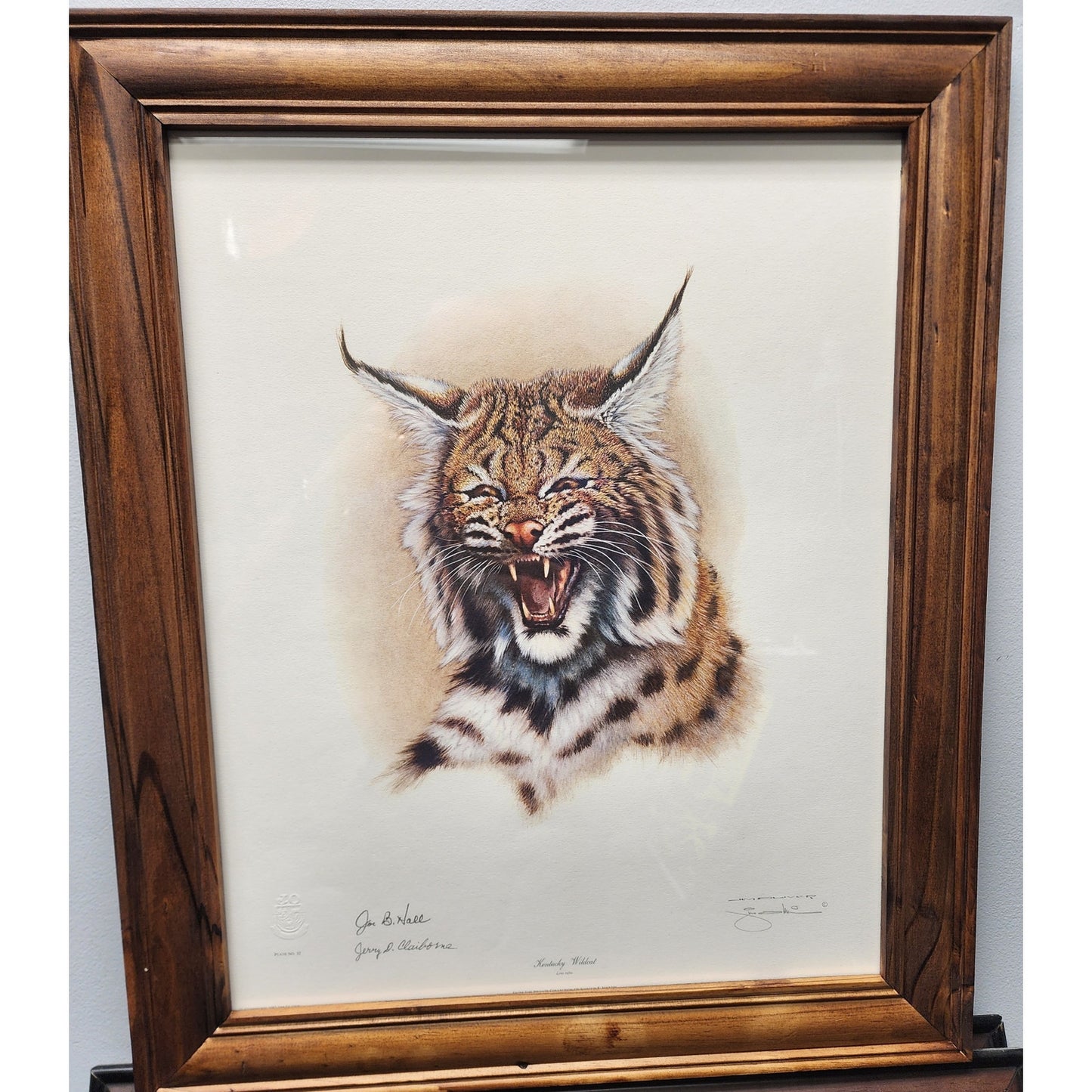 Jim Oliver Kentucky Wildcat Lithograph Signed, Embossed Framed Art