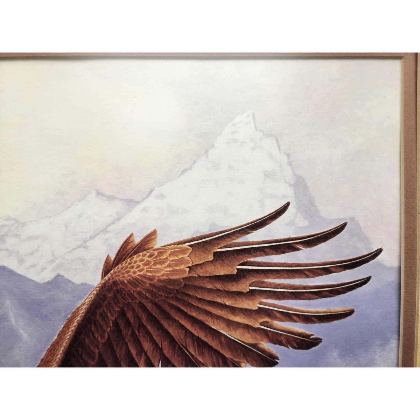 Jim Oliver Signed Lithograph “Bald Eagle”, Large Framed Wildlife Art 36.75x32.75