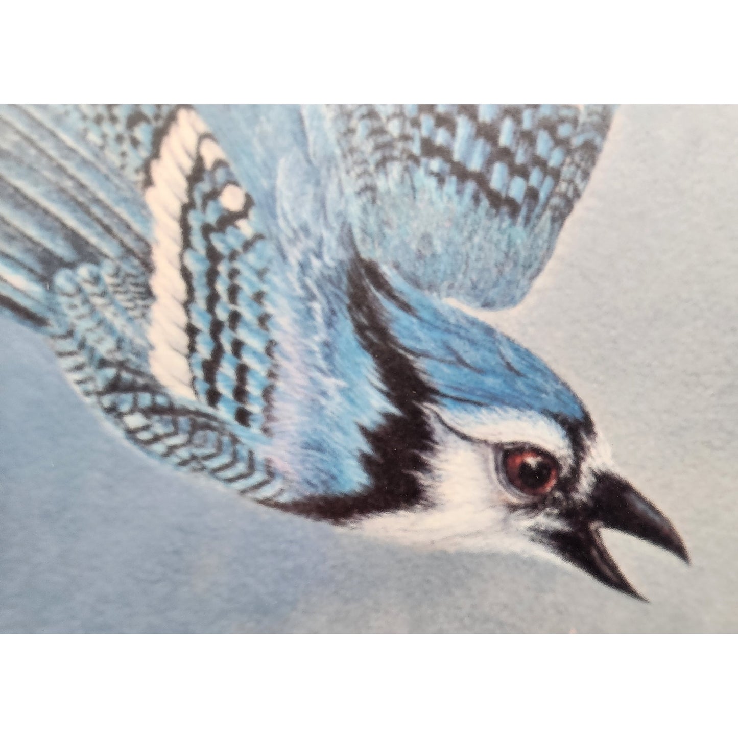 Vintage Winter Jays Harry Duncan Signed #1232/1500 Framed Triple Mat Lithograph