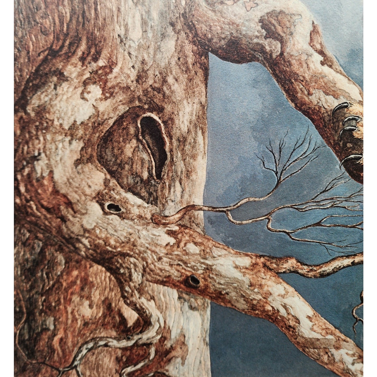 The Nightwatch Harry Duncan Signed #1232/2500 Framed Owl Lithograph