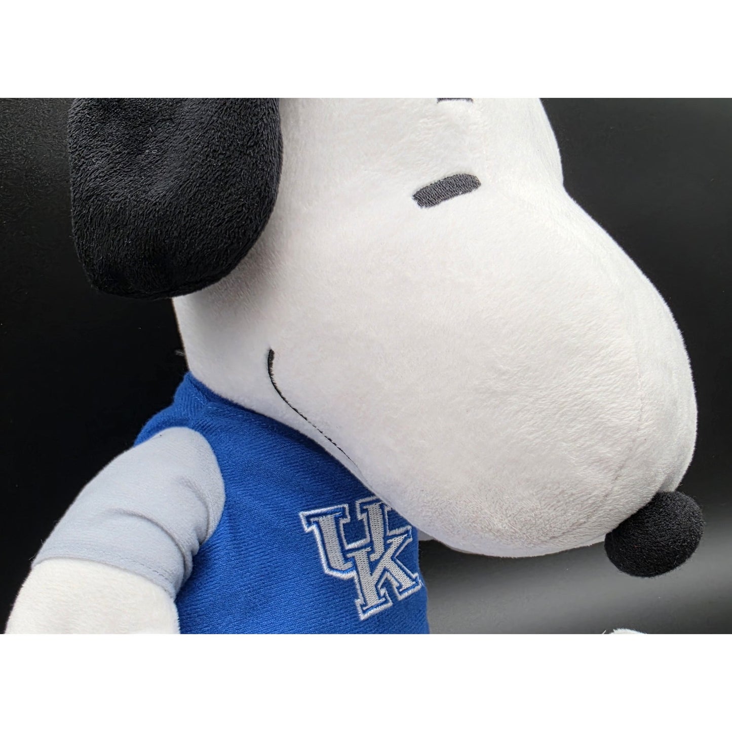 2014 Peanuts Snoopy UK Wildcats Plush • NCAA Licensed • Forever Collectibles