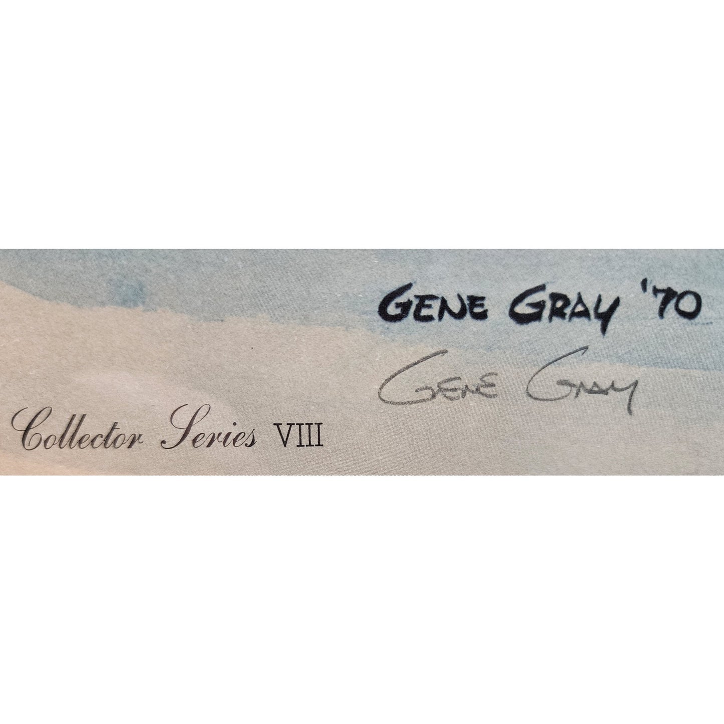 Gene Gray 1970 Bald Eagle Lithograph Framed Collectors Series VIII Morehead Univ