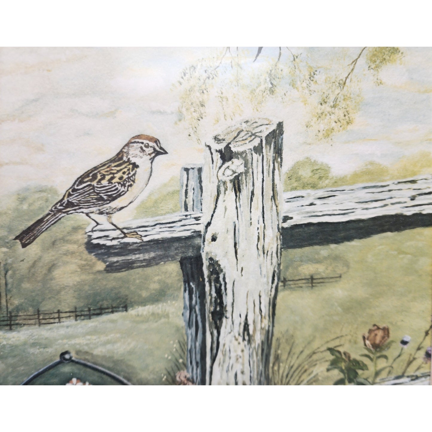 His Eye Is On The Sparrow Signed Lithograph by Jim Hamilton 177/500 Framed Art