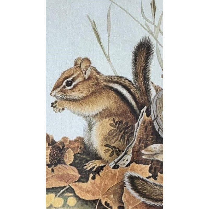 Jim Oliver Signed Print Eastern Chipmunks Framed Wildlife Art