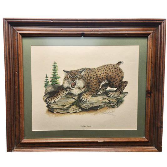 Mike Reynolds Signed KY Wildcat Print Framed Sage Matte Non-Glare Glass