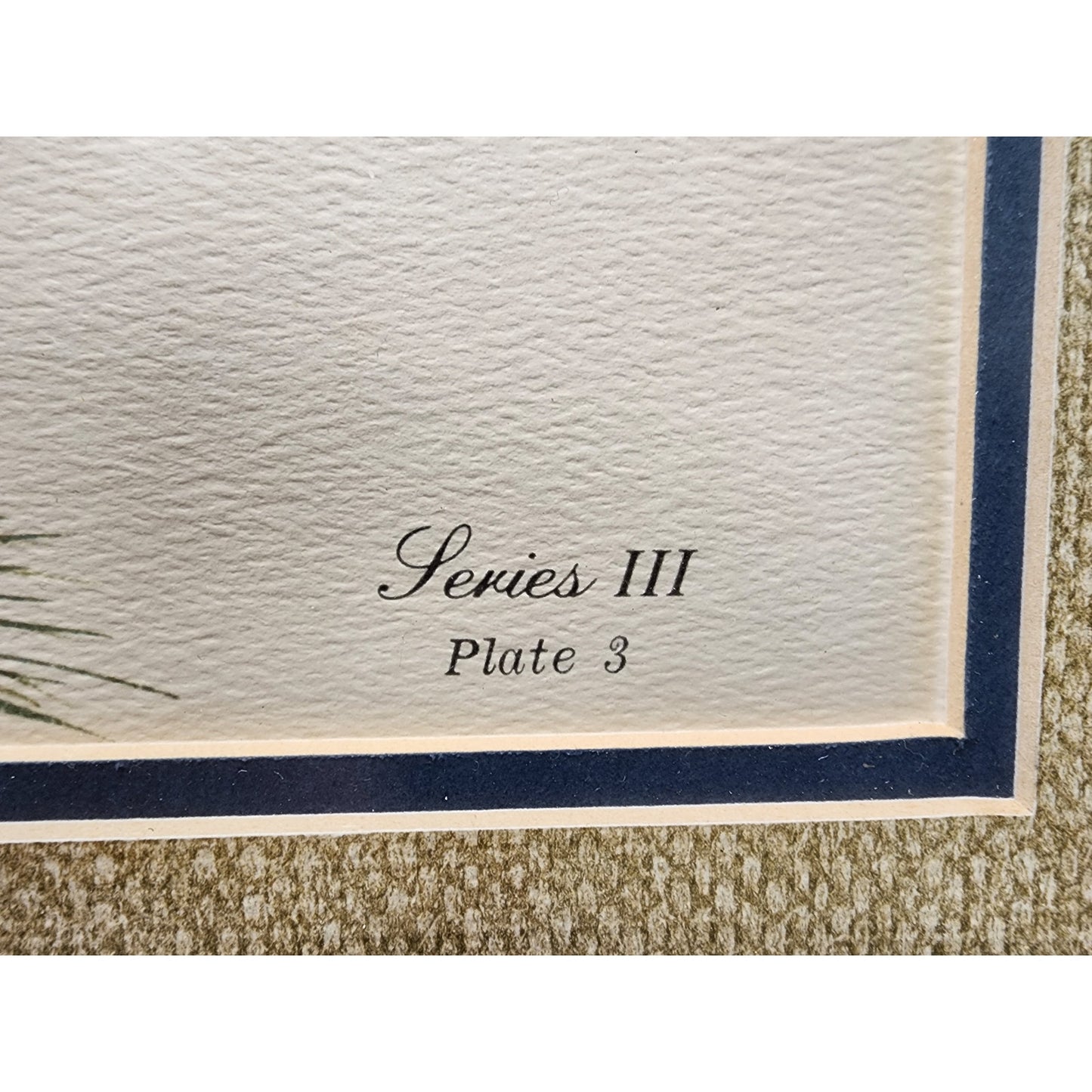 Gene Gray Red Squirrel Lithograph 1977 Series 3, Signed Framed Wildlife Art