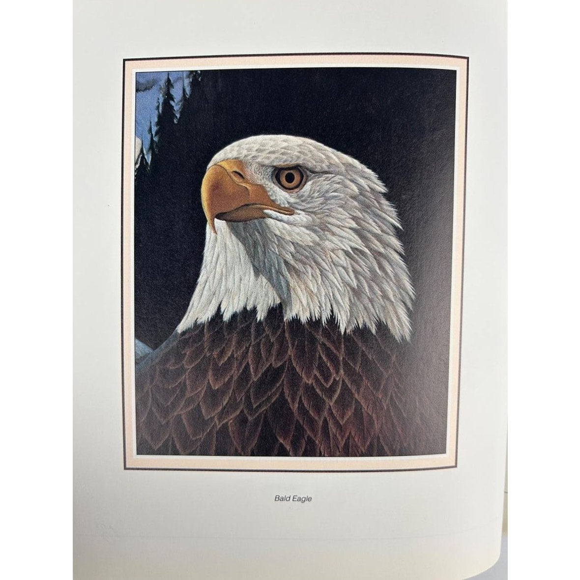 Helen Steiner Rice & John Ruthven 2‑Book Set – Eyes of Tenderness + Wings of Encouragement