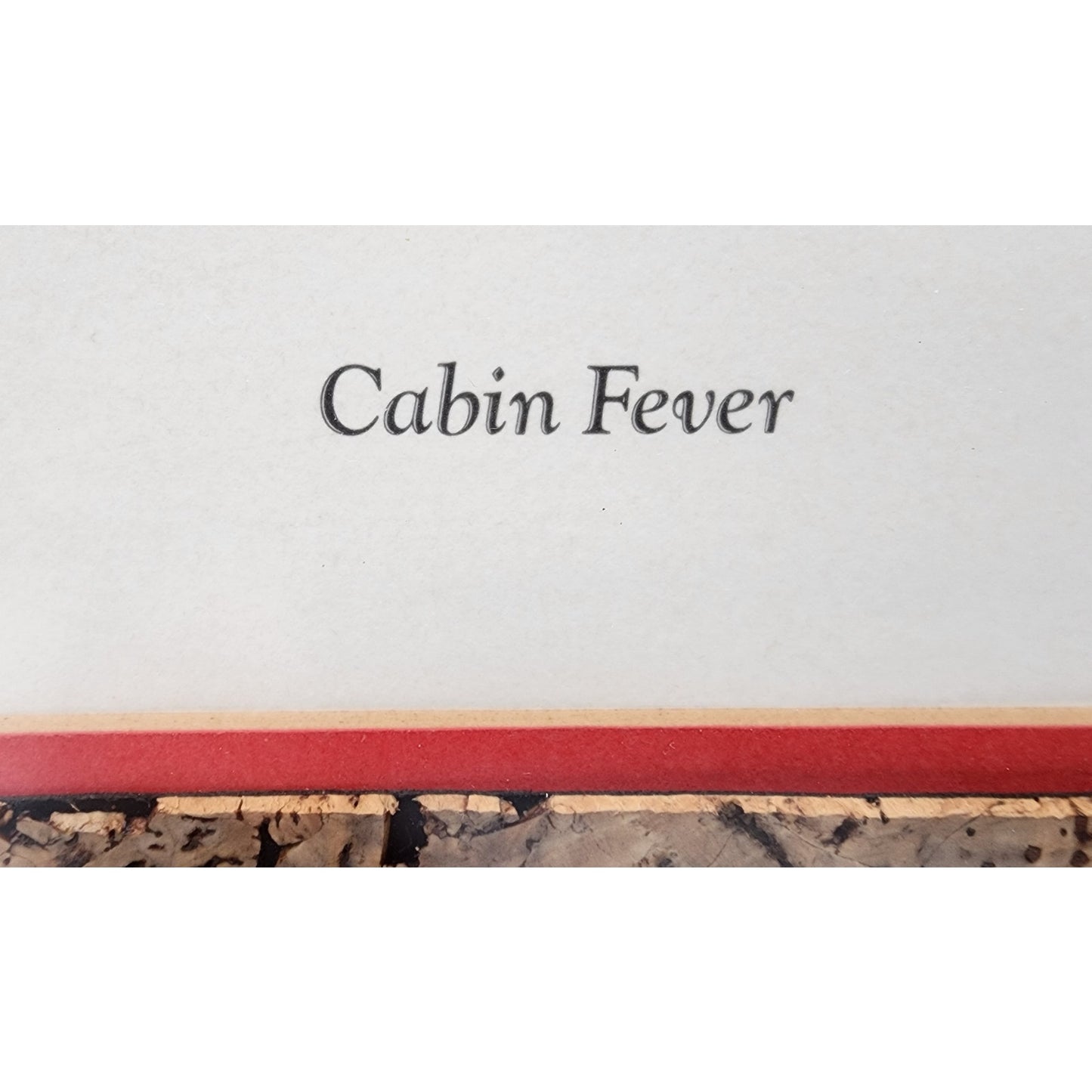Cabin Fever C. Don Ensor 1980 Signed Litho Framed Cork Matte Fishing Print
